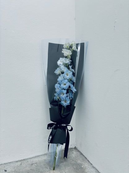 Delphinium | Single Series Bouquet